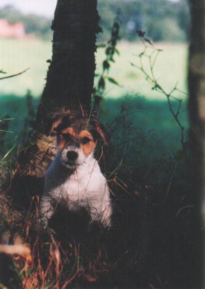 Chapman ist ein Sohn von unsere Annette