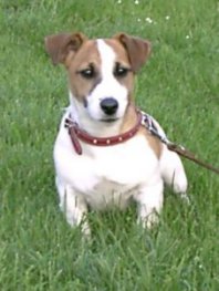 Eddie ist ein Sohn von unsere Annette